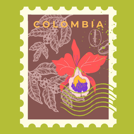 Colombia - Geisha