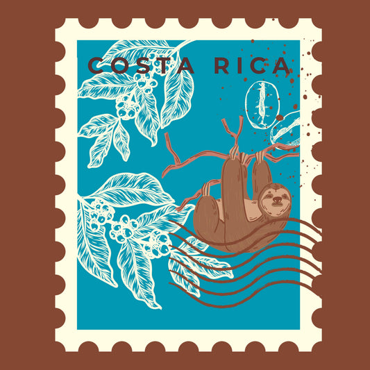 Costa Rica Perla Negra Natural
