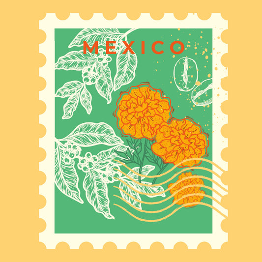 Mexico - MWP Decaf