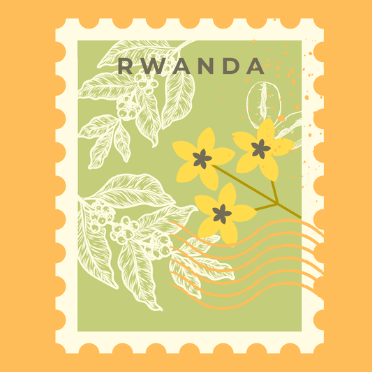 Rwanda Womens Coffee Extension “Kawa Yacu”