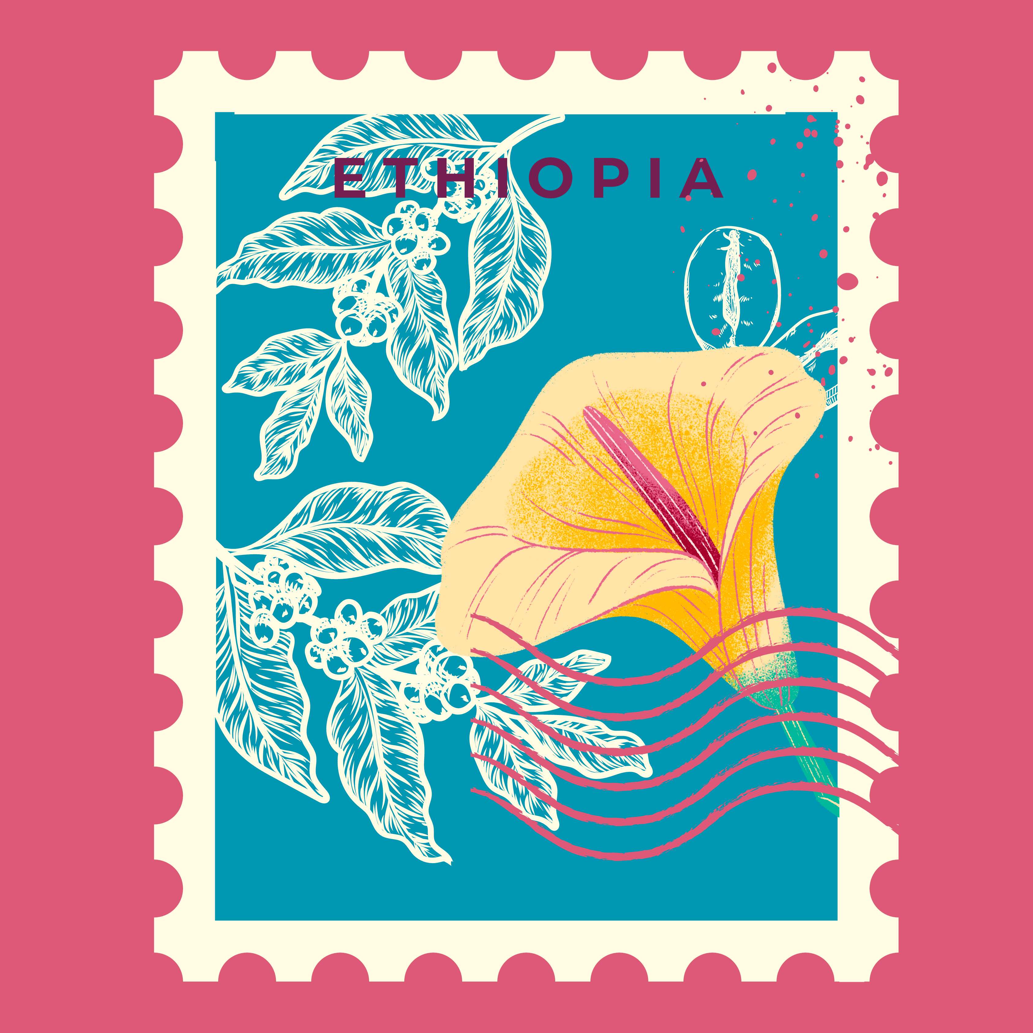 Ethiopia - Yirgacheffe